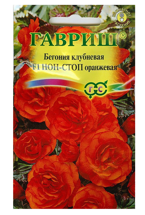 Бегония клубневая