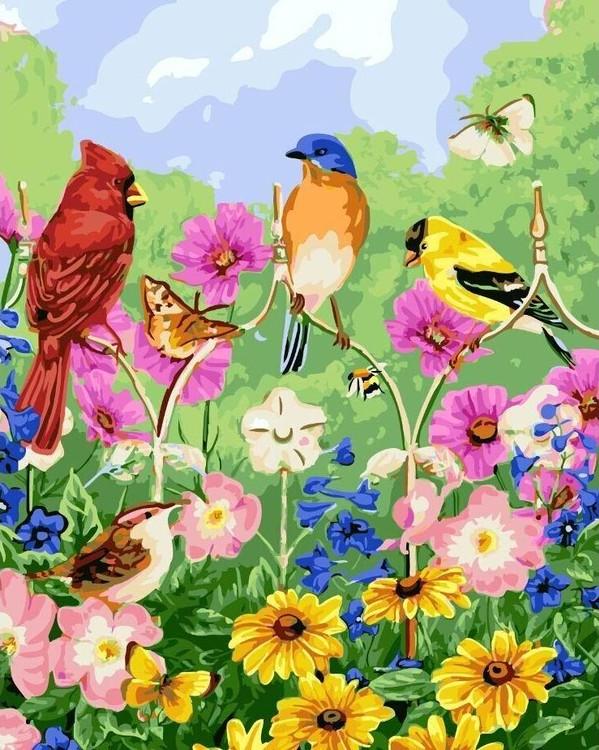 Купить картина по номерам Цветной Птички, бабочки, цветы, 40x50 см, цены на  Мегамаркет | Артикул: 600000392433