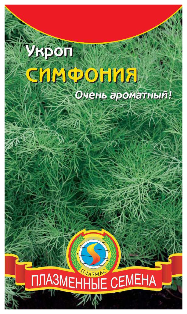 Плазменные семена. Укроп симфония. Сорта укропа. Семена укропа приправа.