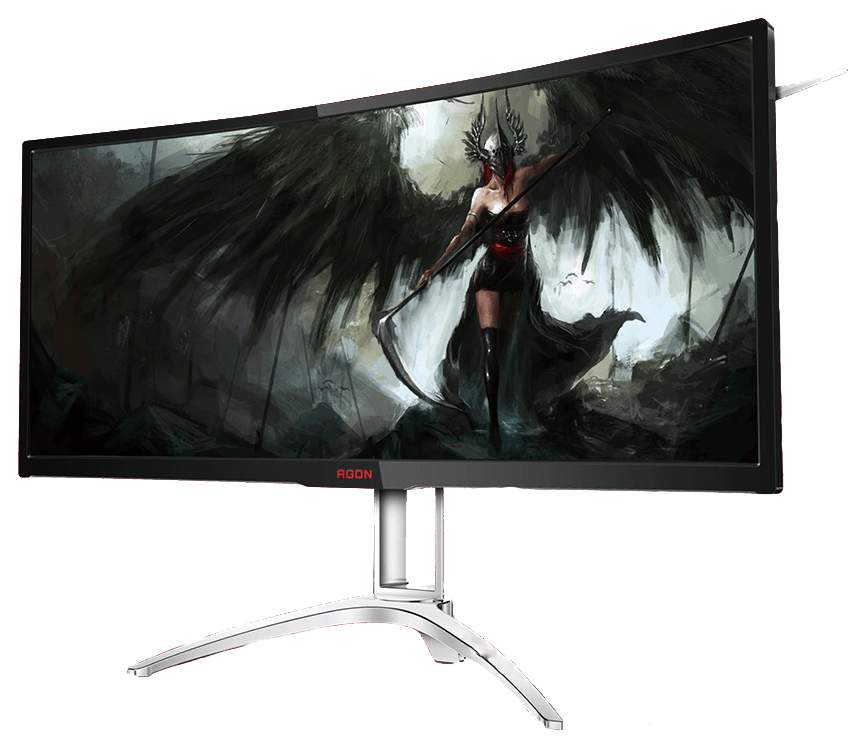 rog monitor curved