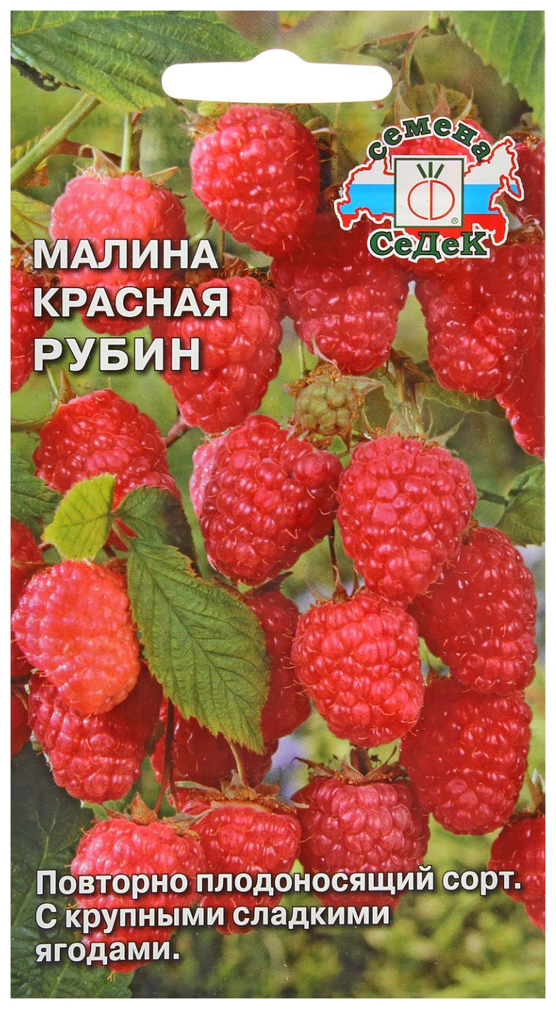 Семена Малина красная Рубин, 0,05 г СеДеК - отзывы покупателей на Мегамаркет