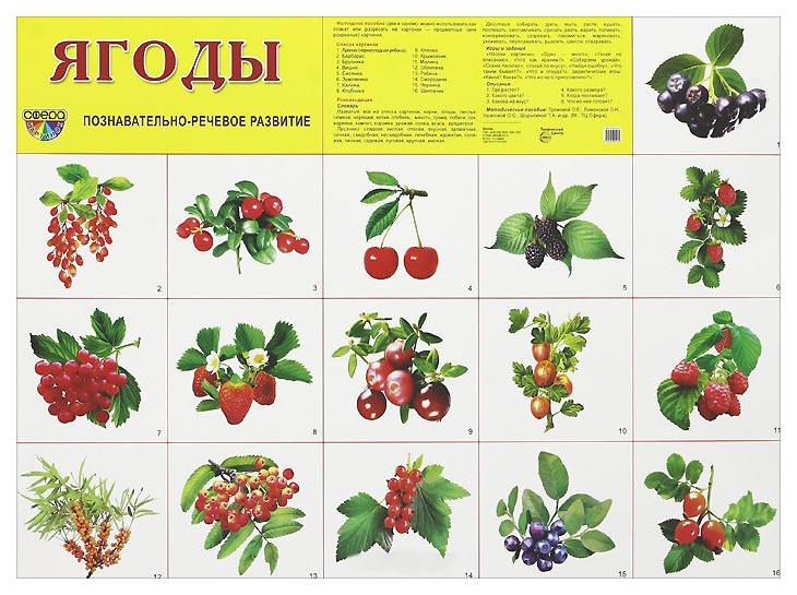 Демонстрационные картинки для детского сада