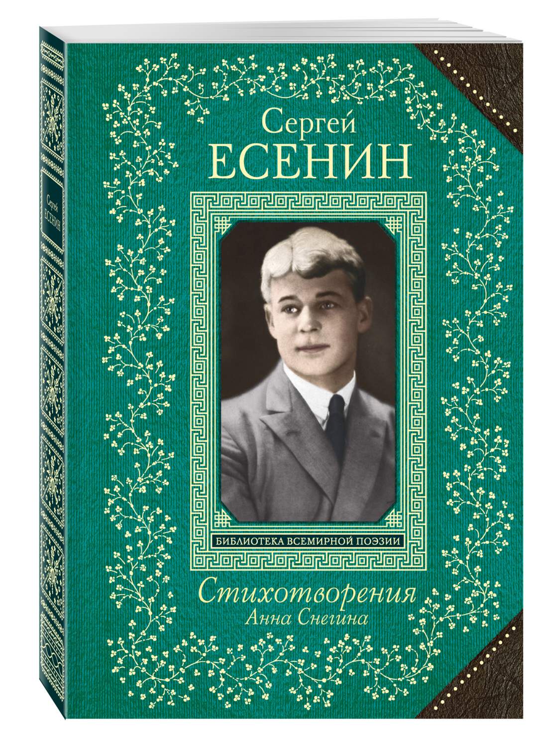 Книга Анна Снегина, Стихотворения – купить в Москве, цены в  интернет-магазинах на Мегамаркет