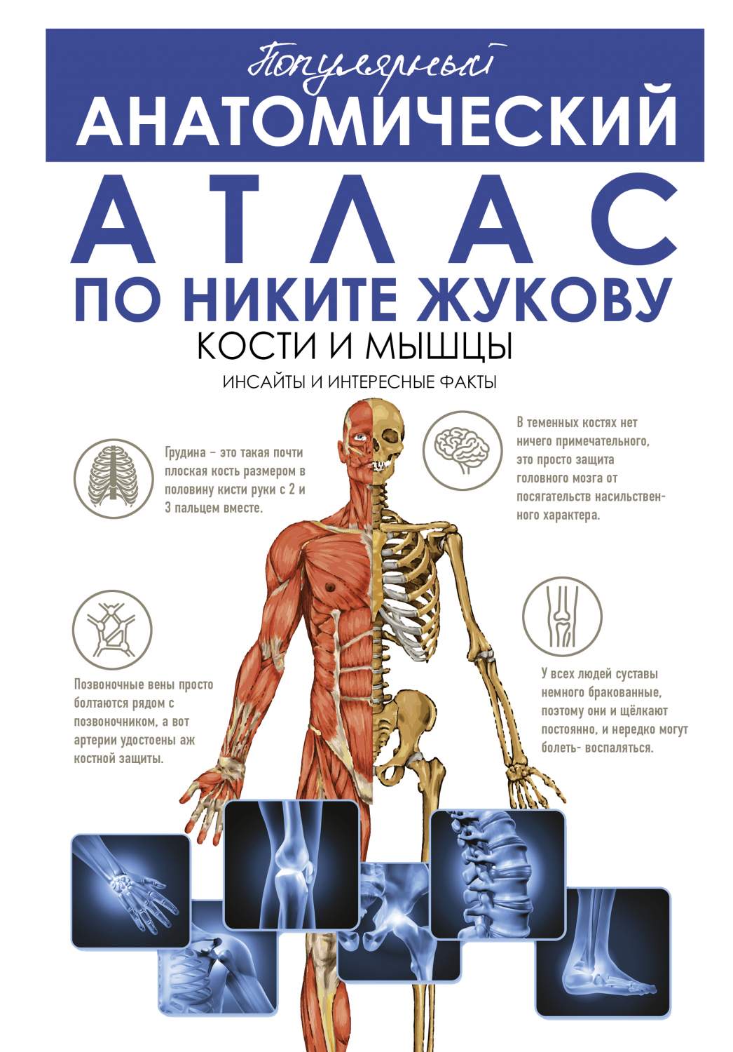 Популярный анатомический атлас по Никите Жукову: кости и мышцы. - купить  спорта, красоты и здоровья в интернет-магазинах, цены на Мегамаркет |  978-5-17-132857-3