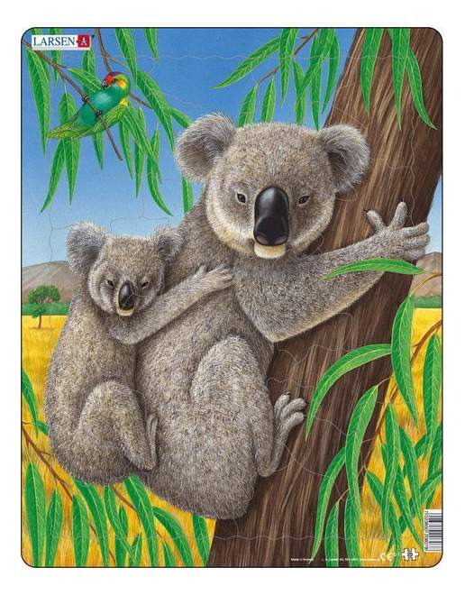 Коала с детенышем рисунок