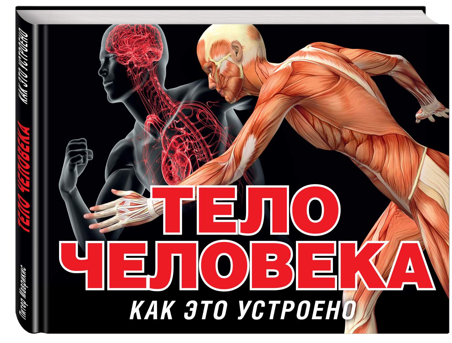 Тело Человека (Серия как Это Устроено) – купить в Москве, цены в  интернет-магазинах на Мегамаркет