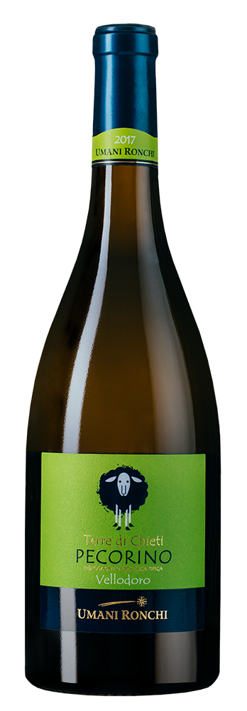 Вино терре ди кьети. Вино pecorino Terre di Chieti. Вино umani Ronchi Cumaro, 2014, 3 л. Вино la Piuma pecorino Terre di Chieti белое сухое. Altopiano Terre di Chieti белое сухое 075.