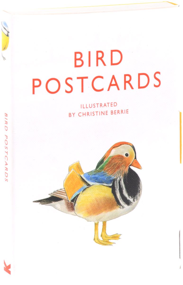 Птицы книга отзывы. Laurence King карточки птицы.