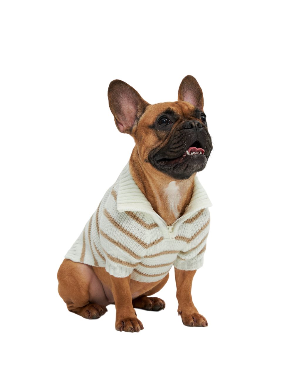 Одежда для собак Icepeak Pet и Rukka Pets