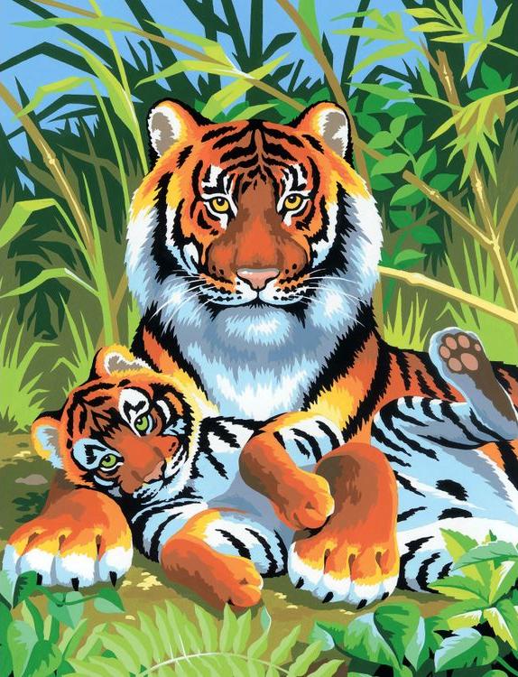 Амурский тигр Тиг