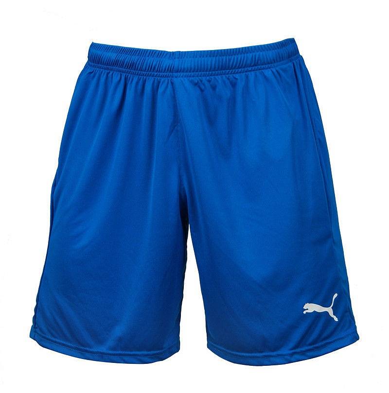 royal blue puma shorts