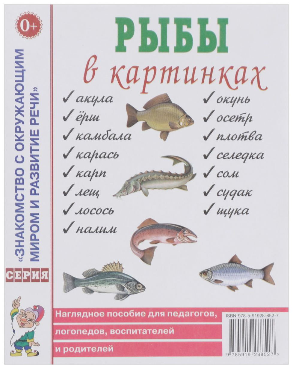 Рыбы В картинках. наглядное пособие для педагогов, логопедов, Воспитателей  и Родителей - купить подготовки к школе в интернет-магазинах, цены на  Мегамаркет |