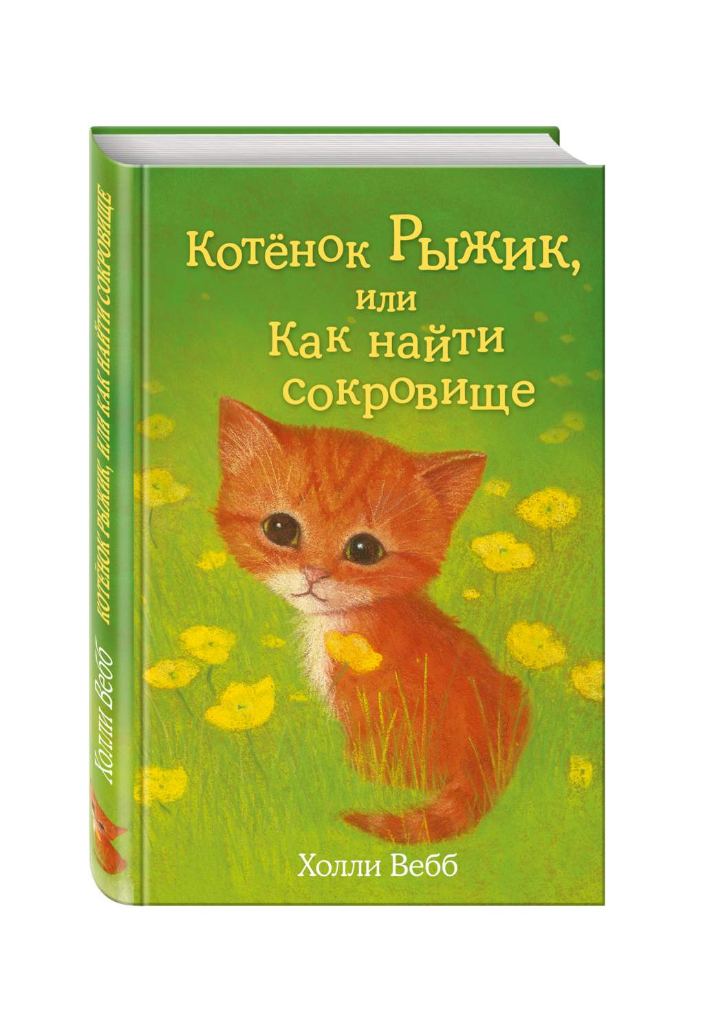 Котёнок Рыжик, или Как найти сокровище - купить детской художественной  литературы в интернет-магазинах, цены на Мегамаркет | 188960