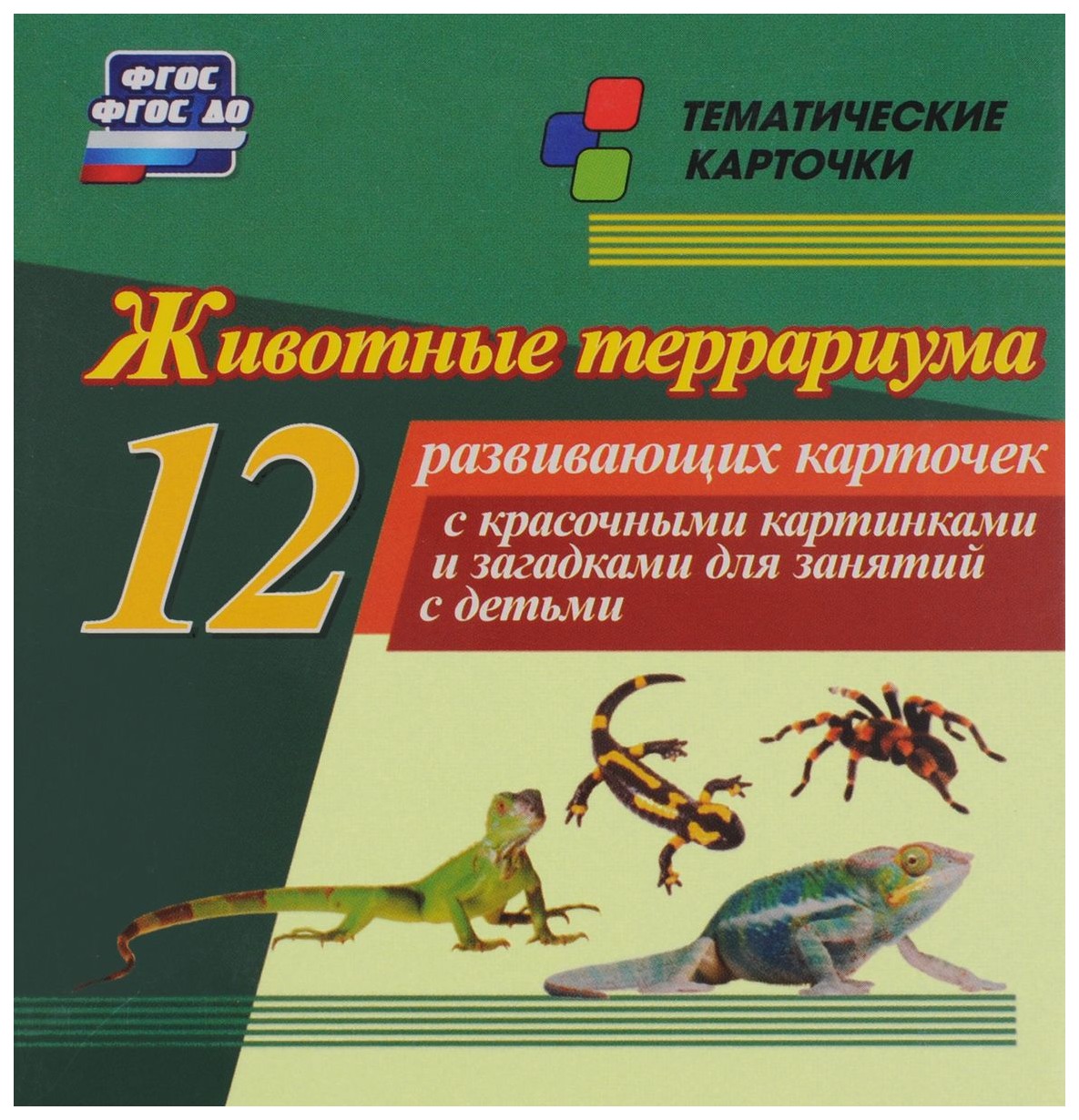 Животные террариума: 12 развивающих карточек с красочными картинками и  загадками для занят - купить подготовки к школе в интернет-магазинах, цены  на Мегамаркет | Н-248
