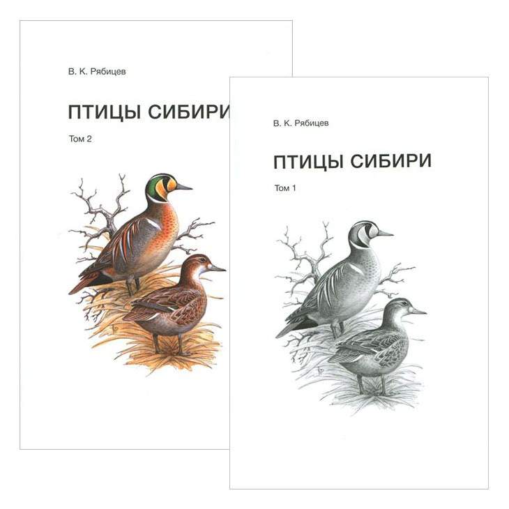 Птицы Сибири (58 фото)