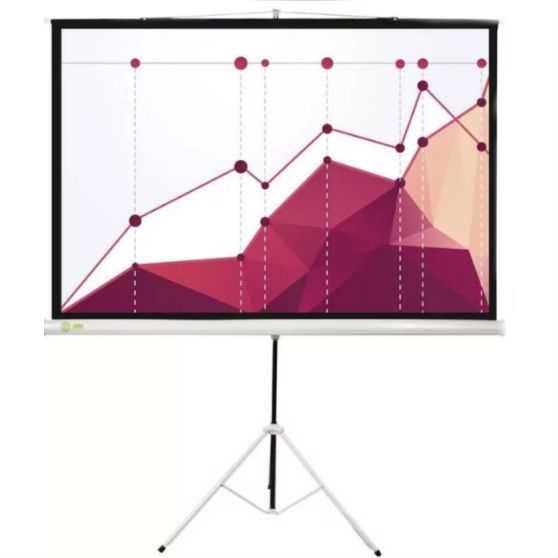 Экраны для проекторов Digis - купить экран настенный Дигис, цены в Москве на Мегамаркет
