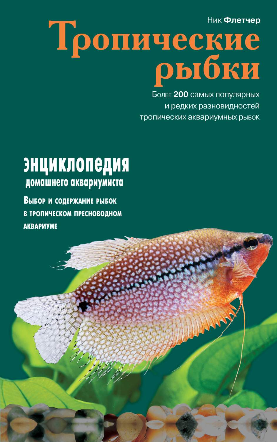 Тропические рыбки – купить в Москве, цены в интернет-магазинах на Мегамаркет