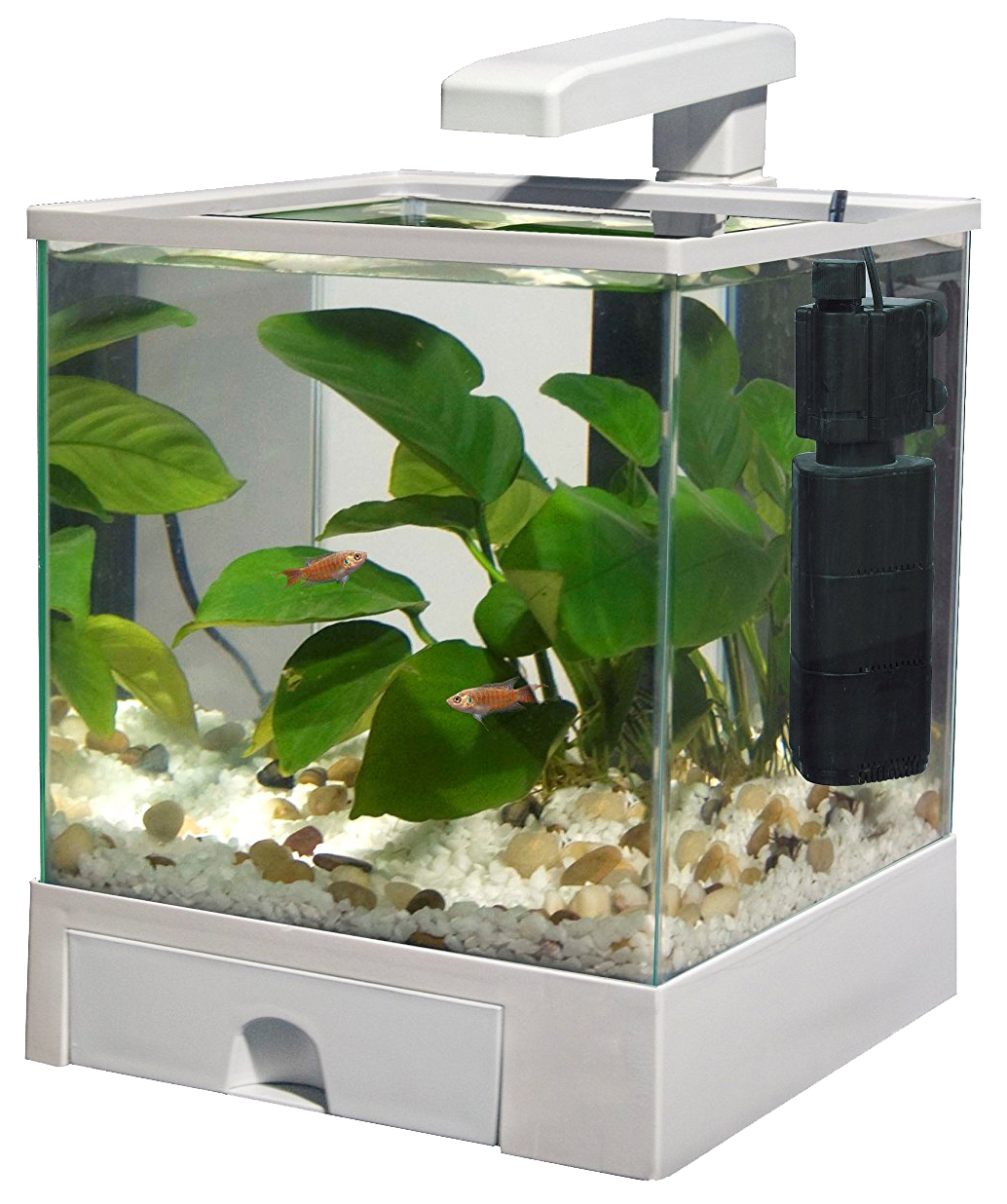 Нано-аквариум для рыб AA-Aquariums Aqua Box 2, 17 л – купить в Москве, цены  в интернет-магазинах на Мегамаркет