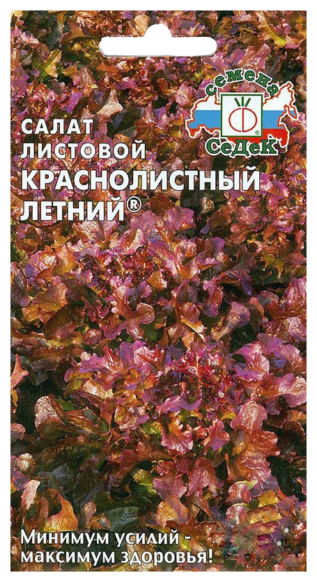 Салат краснолистный летний седек