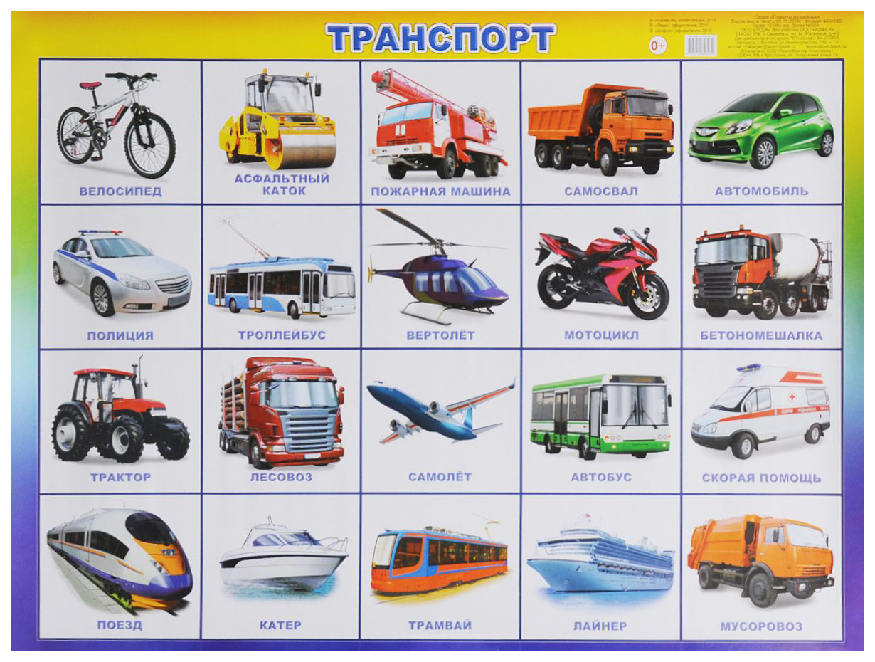 Плакат Алфея Слово транспорт – купить в Москве, цены в интернет-магазинах  на Мегамаркет