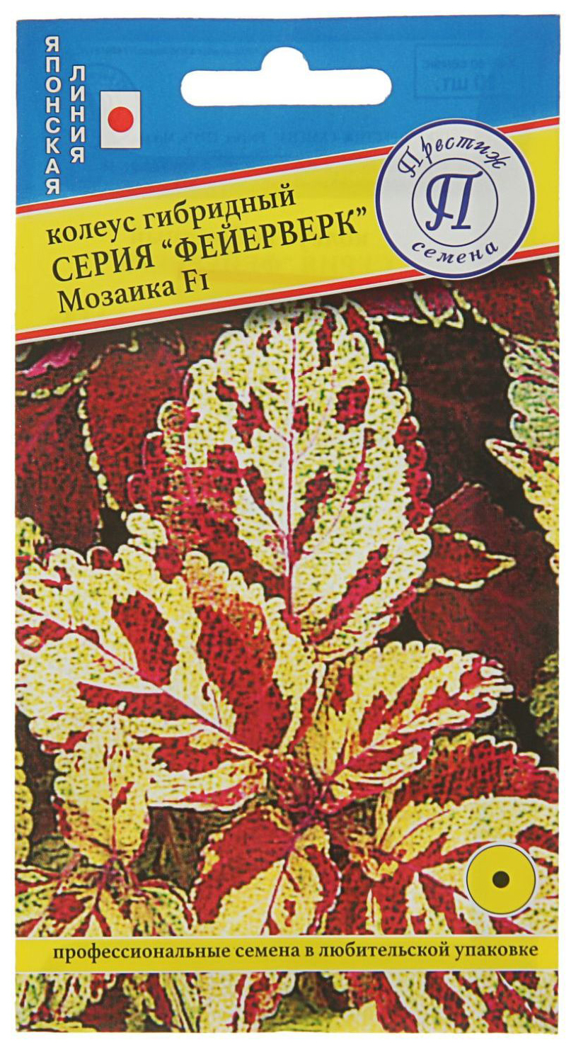 Цветы ночные салют семена. Многолетние декоративные злаки. Семена фейерверки. Цветы ночные салют семена. Люпин фейерверк.