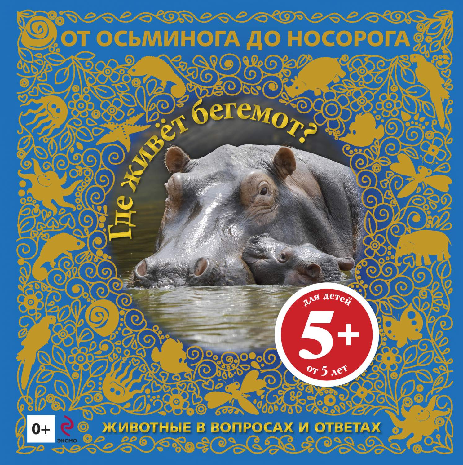 Где Живет Бегемот? Животные В Вопросах и Ответах – купить в Москве, цены в  интернет-магазинах на Мегамаркет