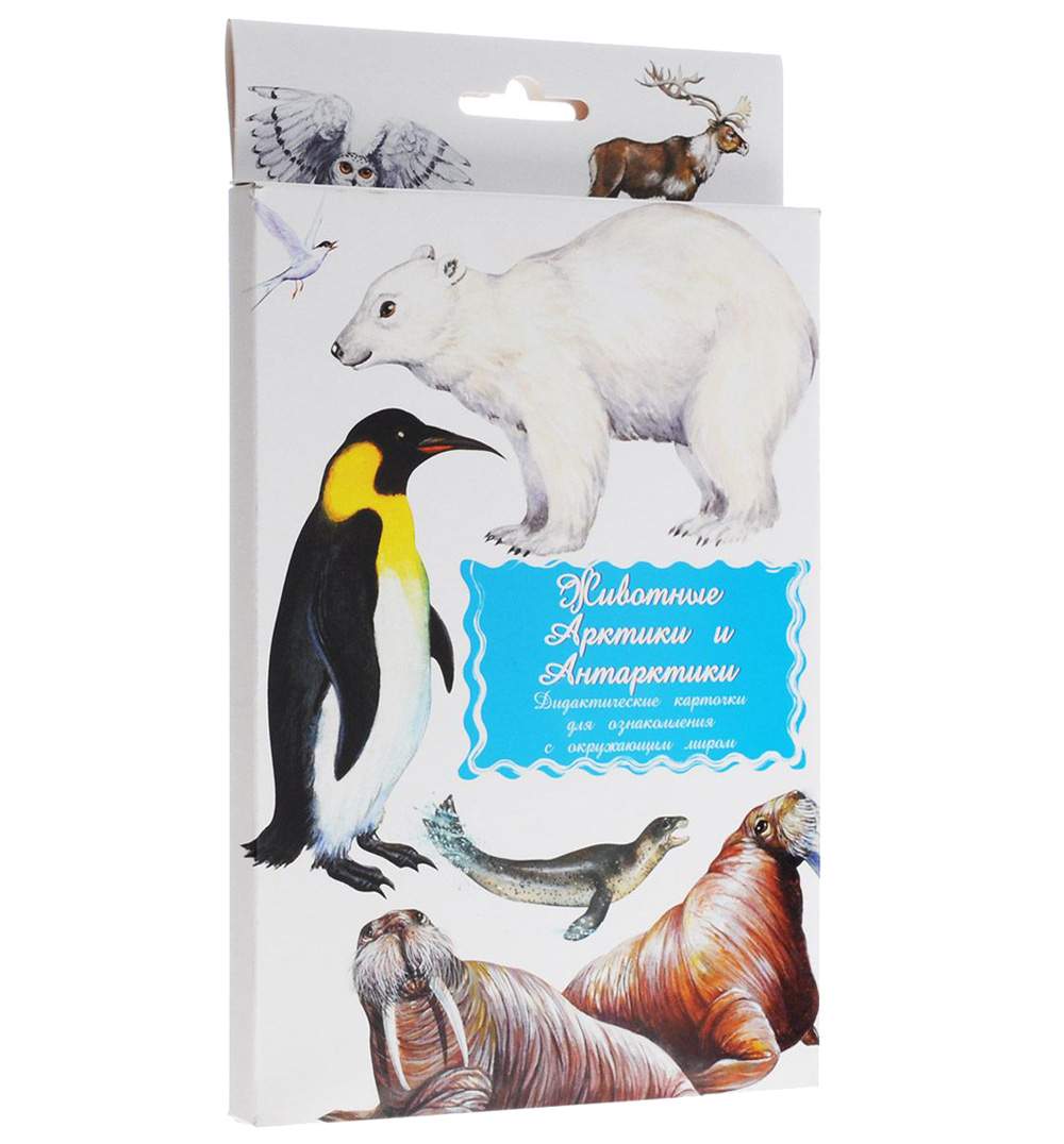 Дидактические карточки Маленький Гений Животные Арктики и Антарктики -  купить подготовки к школе в интернет-магазинах, цены в Москве на Мегамаркет  |