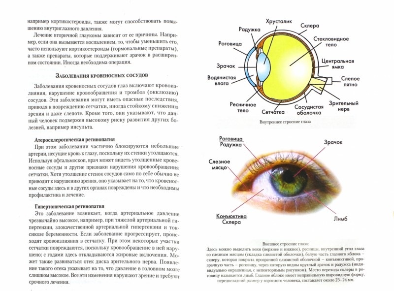 Болезни глаз - список и краткая характеристика: