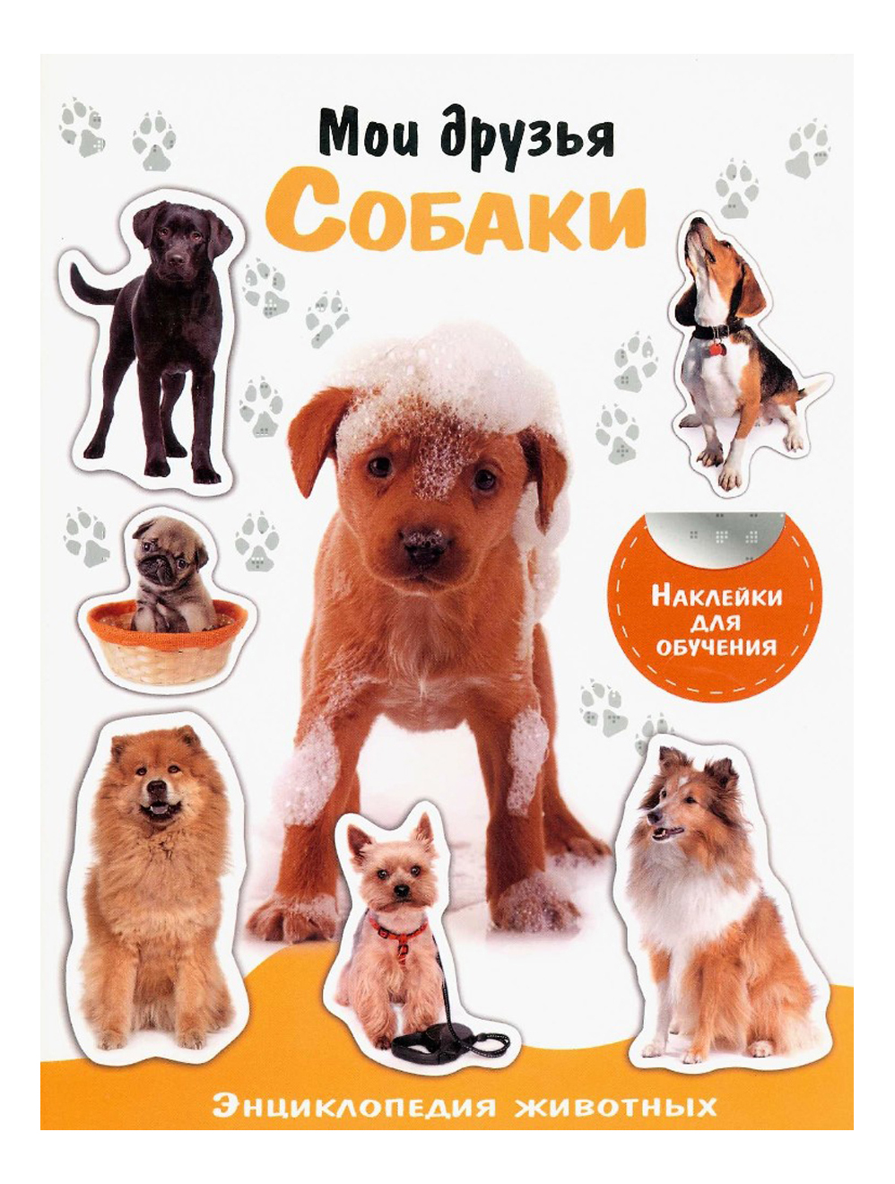 Мои друзья о животных. Мои друзья кошки. Мои друзья о животных. Мои друзья о животных. Книга друзья моего детства скребицкий.