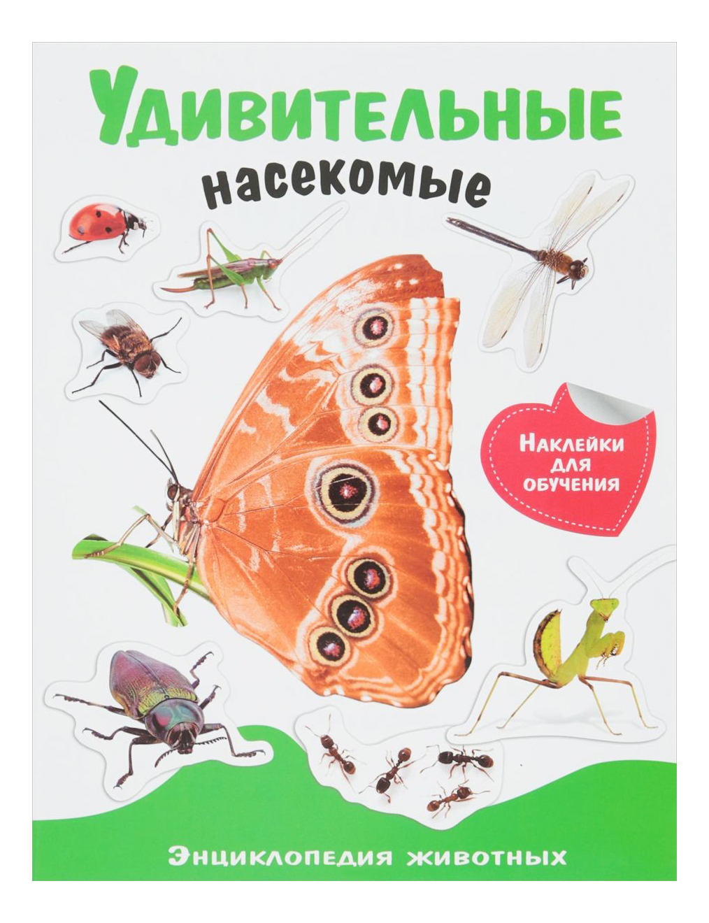 Стрекоза Энциклопедия Животных С наклейками: Удивительные насекомые –  купить в Москве, цены в интернет-магазинах на Мегамаркет