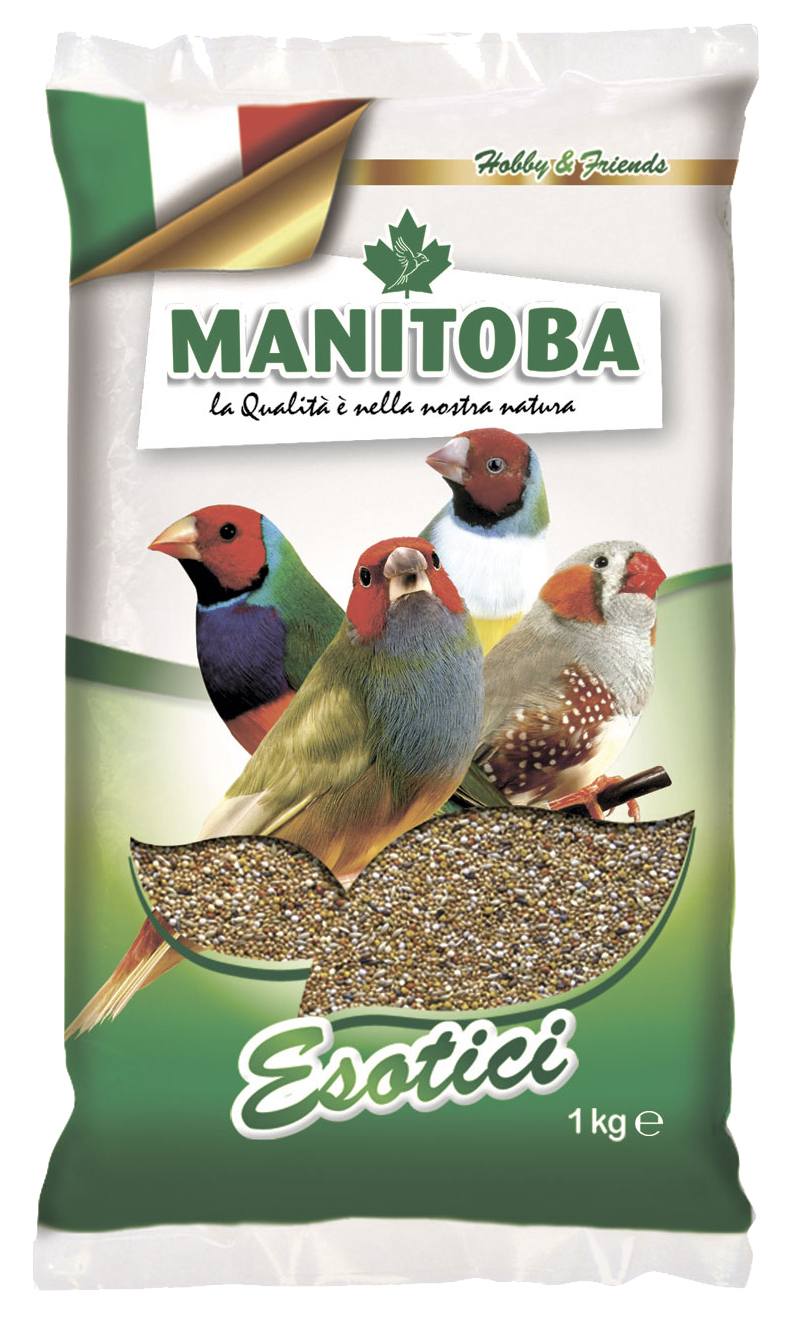 Корм для уличных птиц. Manitoba зерновая смесь 1кг для волнистых попугаев. Манитоба корм для попугаев. Manitoba зерновая смесь 1кг для средних попугаев. Manitoba корм esotici для экзотических птиц.
