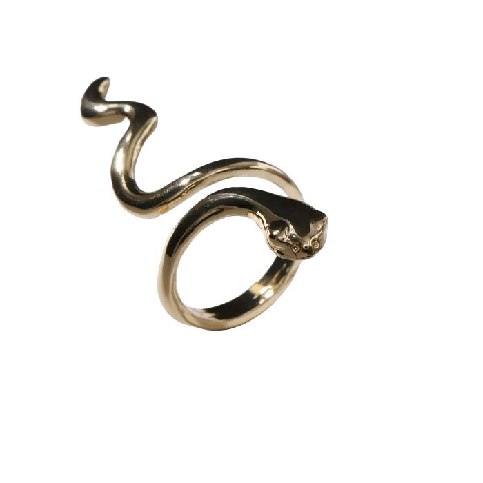 Кольцо «Змея» - стильный аксессуар со смыслом
