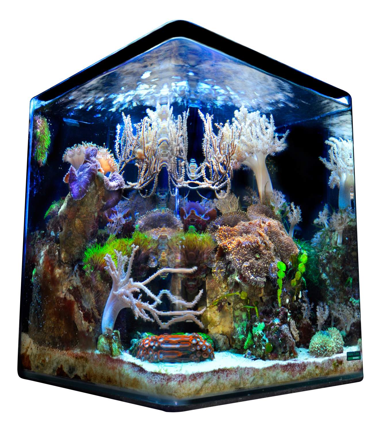 Купить нано-аквариум Dennerle Nano Cube Marinus Complete PLUS LED,  влагозащитная поверхность, 30л, цены на Мегамаркет | Артикул: 100001282873