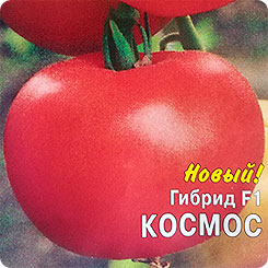 План номер 9 из открытого космоса томат