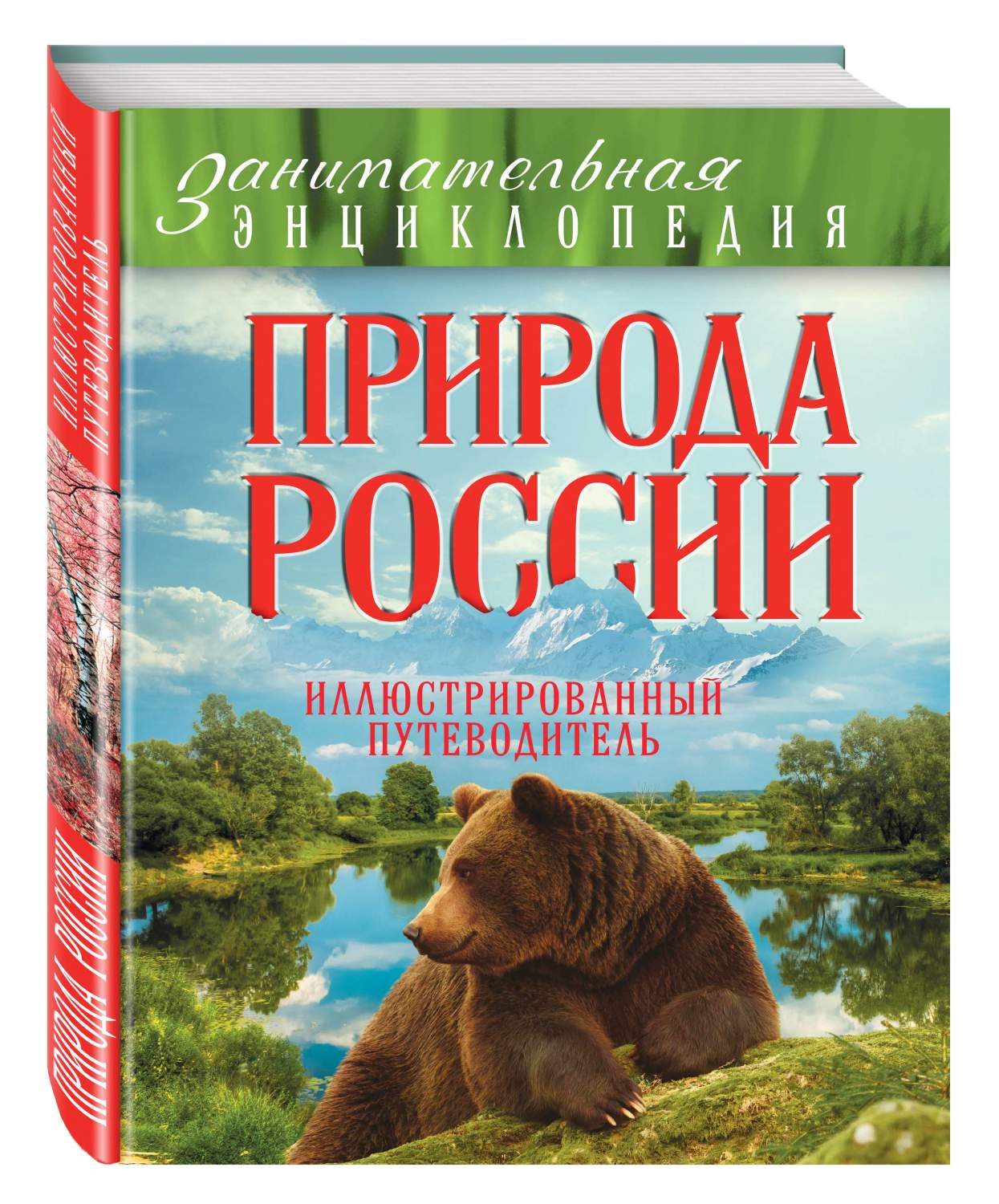 Природа России: иллюстрированный путеводитель - купить детской энциклопедии  в интернет-магазинах, цены на Мегамаркет | 215533