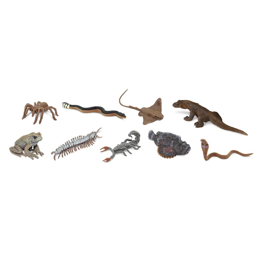 top 10 most venomous creatures - Ilustrasi 3