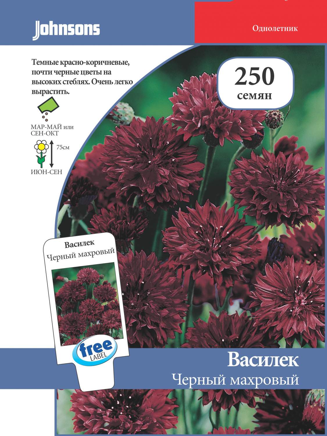 Семена василька Черный махровый, 250 шт/уп, Johnsons – купить в Москве,  цены в интернет-магазинах на Мегамаркет