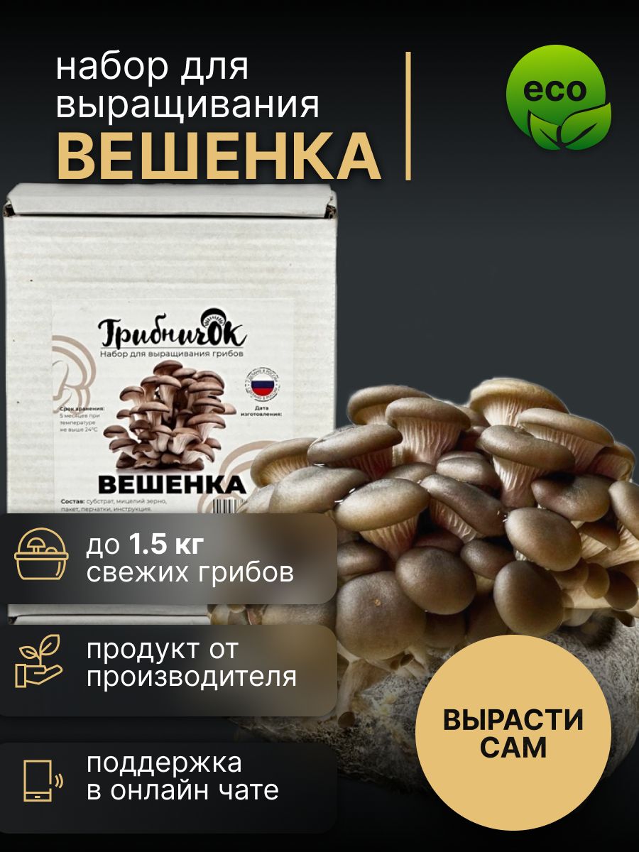 Выращивание грибов, продажа мицелия вешенки. Алтайский край, г. Барнаул