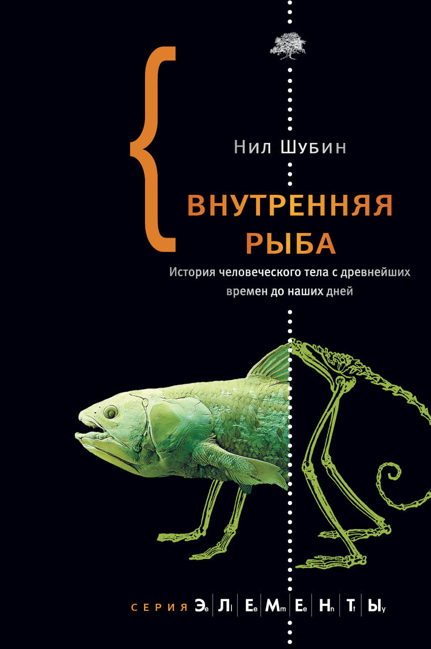 Внутренняя рыба – купить в Москве, цены в интернет-магазинах на Мегамаркет