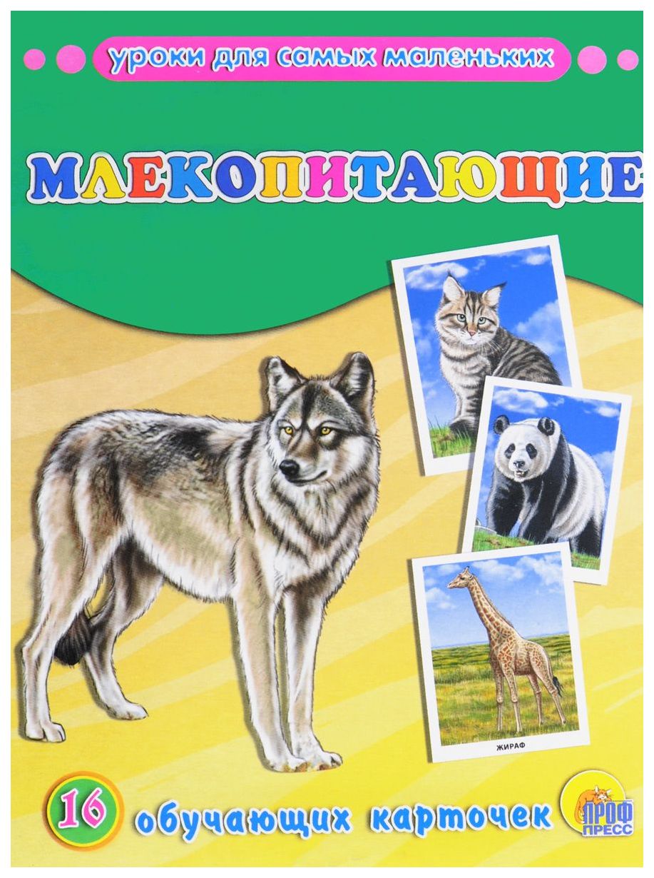 Уроки для Самых Маленьких, Млекопитающие – купить в Москве, цены в  интернет-магазинах на Мегамаркет