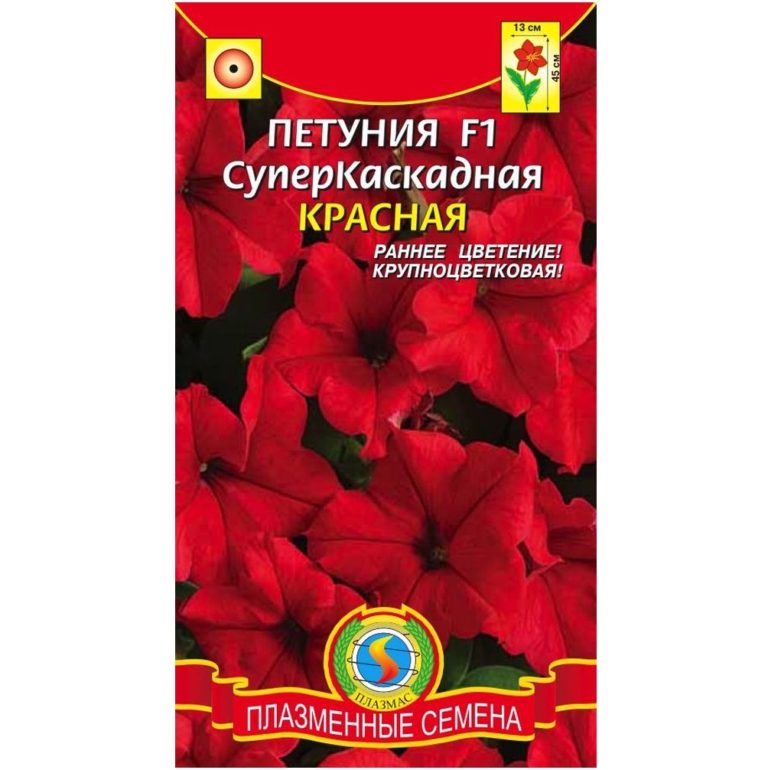 Описание сорта
