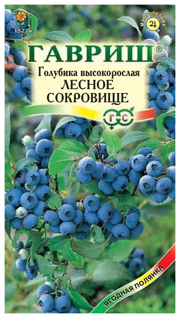 Семена Голубика высокорослая Лесное сокровище, Смесь сортов, 30 шт, Гавриш- купить в Москве, цены на Мегамаркет