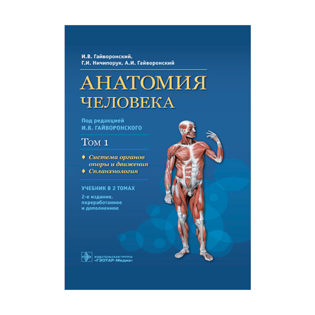 Анатомия учебник для вузов. Anatomiya cheloveka v 2 KN KN 1 textbook Human Anatomy. Анатомия и физиология человека и.в. Гайворонский, г.и. Ничипорук. Анатомия человека : учебник : в 2 т. Гайворовский. Гайворонский атлас анатомии человека.