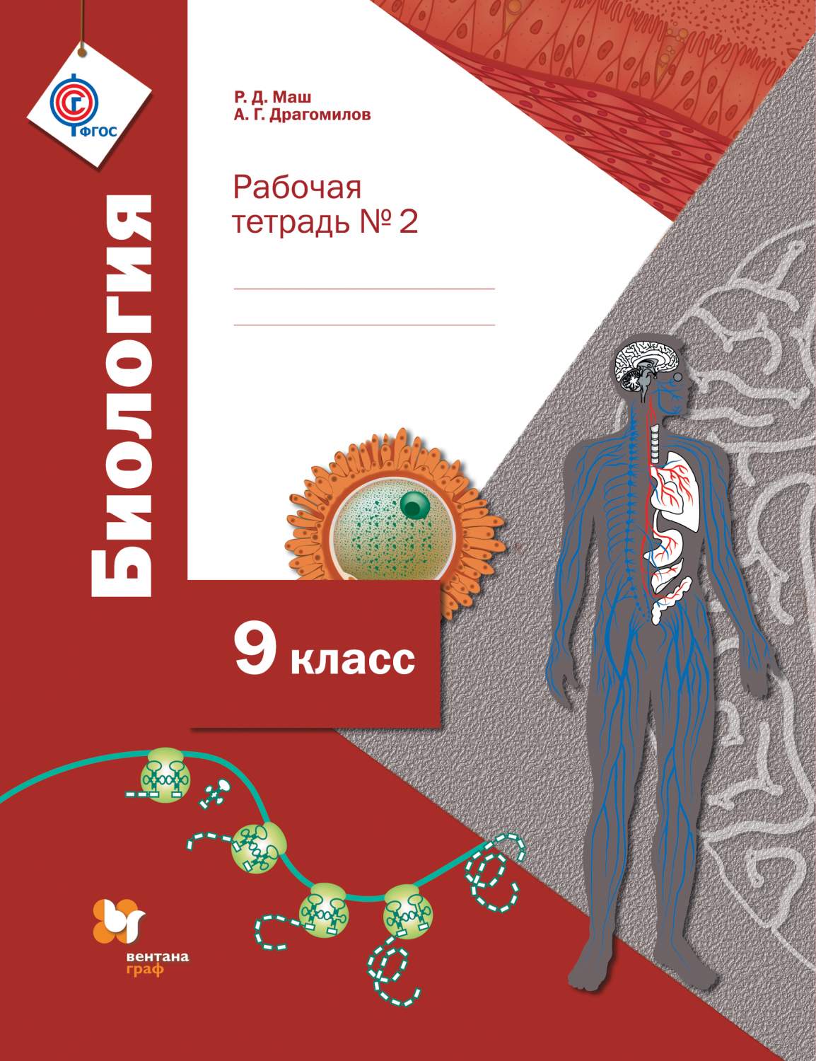 Биология, 9 класс Рабочая тетрадь №2 - купить рабочей тетради в  интернет-магазинах, цены на Мегамаркет | 199489