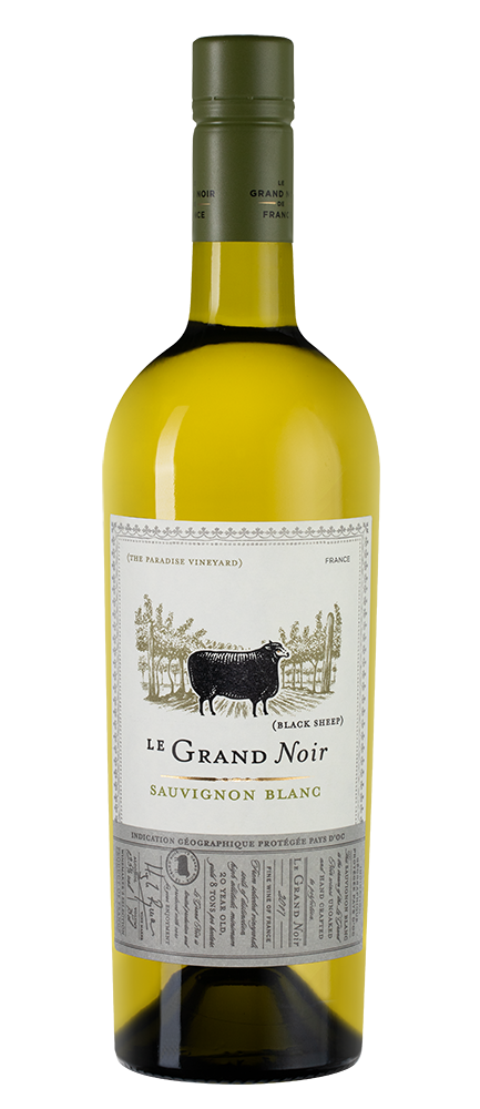 Le Grand Noir Sauvignon Blanc Les Celliers Jean d Alibert