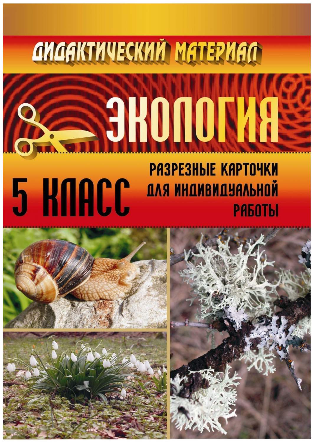 Дидактический материал по экологии Разрезные карточки. 5 класс – купить в  Москве, цены в интернет-магазинах на Мегамаркет