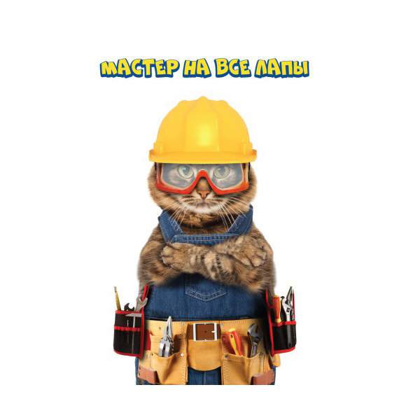 Кот в каске