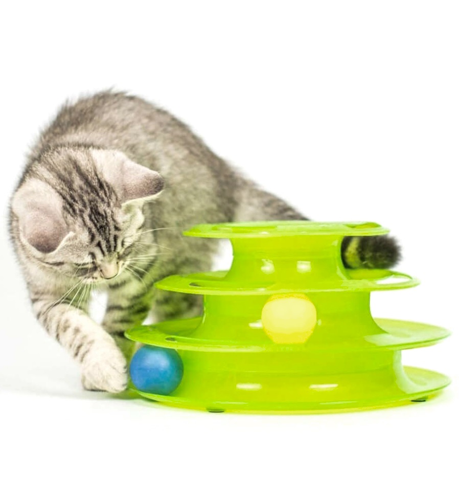 Трек, дразнилка для кошек Чистый Котик пластик, зеленый, 25 см - отзывы  покупателей на маркетплейсе Мегамаркет | Артикул товара:600005360468