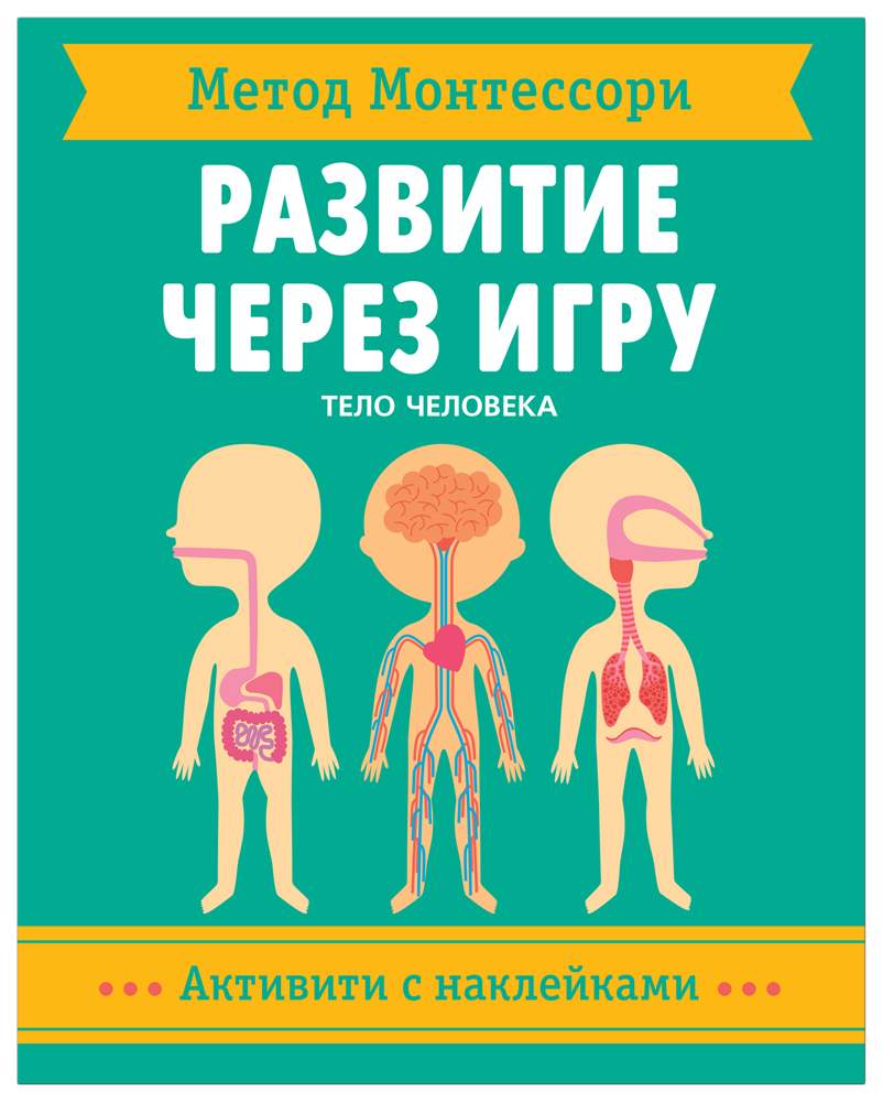 Активити с наклейками Метод Монтессори. Развитие через игру - Тело человека  Мозаика-Синтез - купить развивающие книги для детей в интернет-магазинах,  цены на Мегамаркет | МС11478