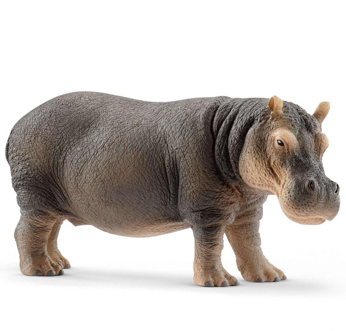 Купить фигурка Schleich Бегемот, цены на Мегамаркет